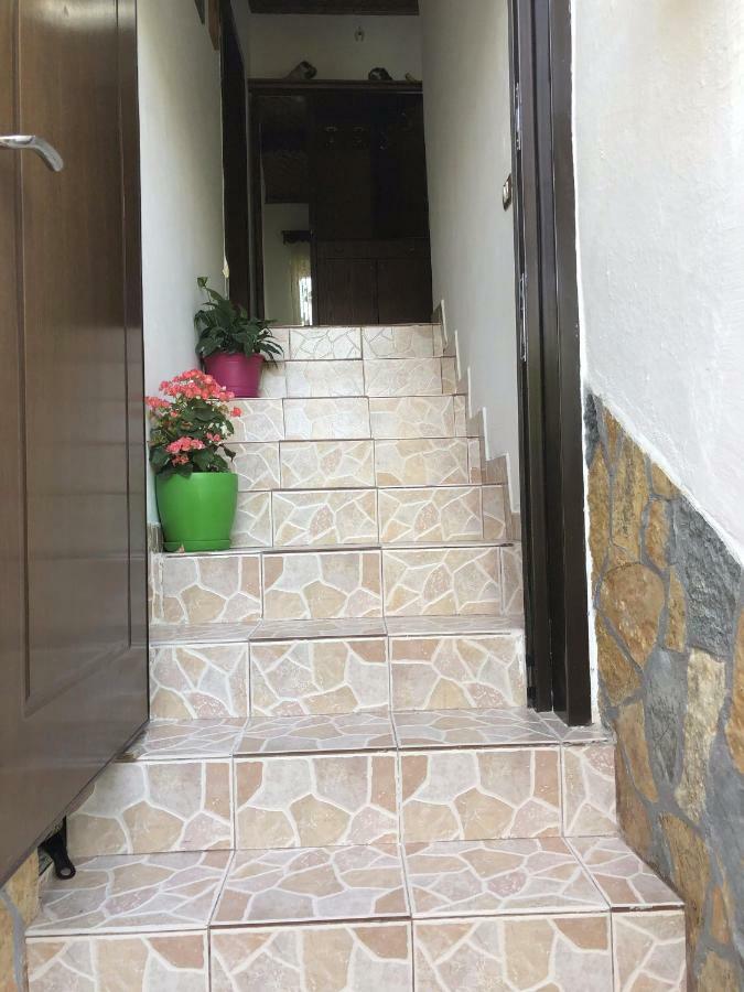 Tomor Shehu Guest House Berat Exterior photo